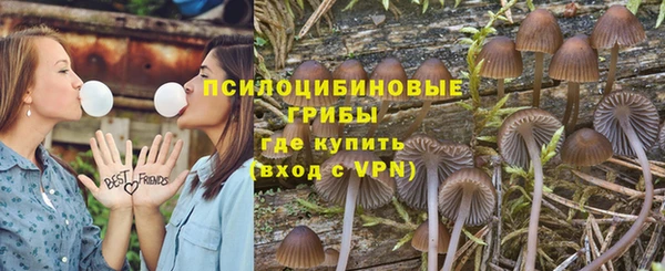 хмурый Горно-Алтайск