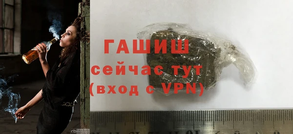 хмурый Горно-Алтайск