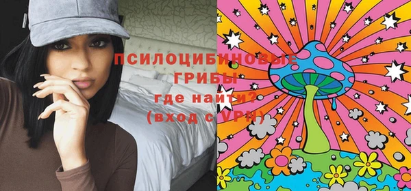 хмурый Горно-Алтайск