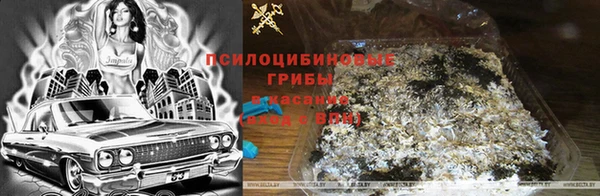 альфа пвп Горняк