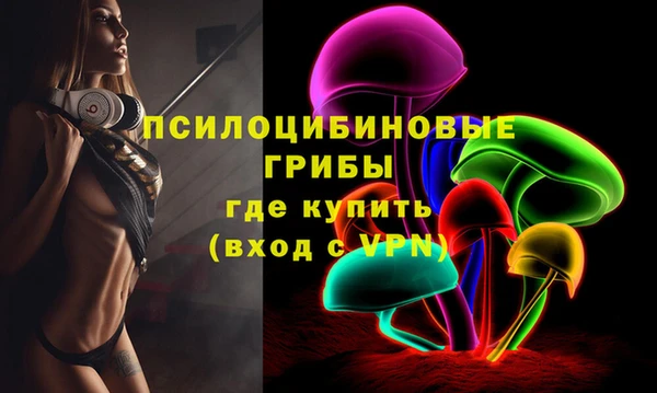 альфа пвп Горняк