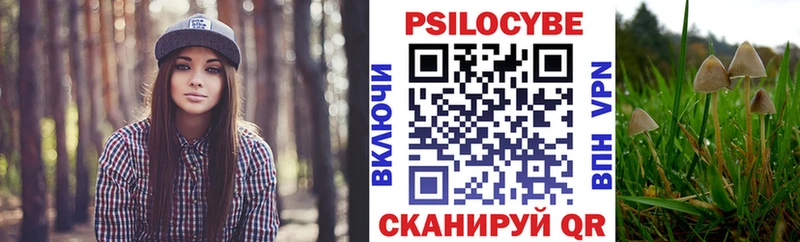 Купить  Кузнецк  Галлюциногенные грибы ЛСД 