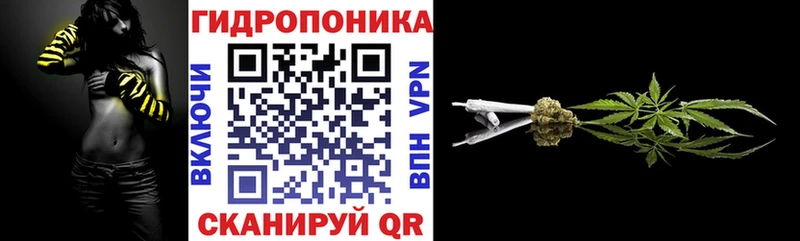 Бошки Шишки план Кузнецк